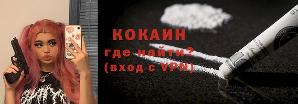дмт Магас