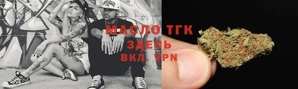 индика Липки
