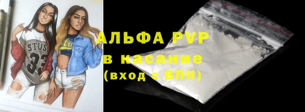 индика Липки