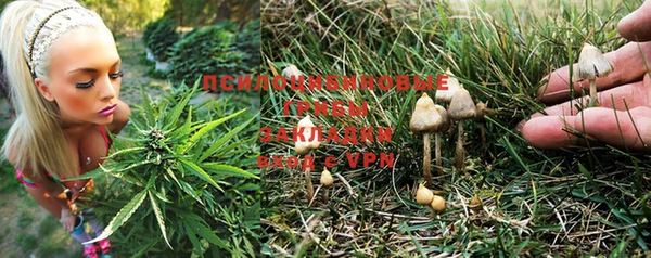 индика Липки