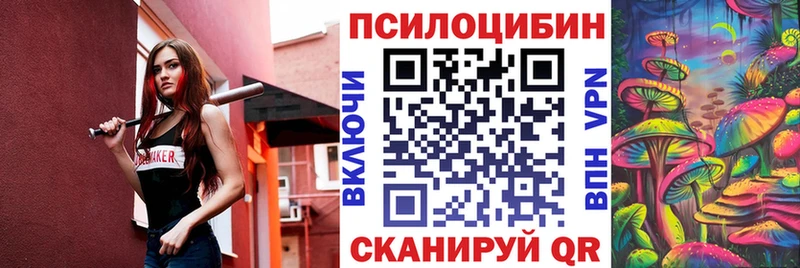 Псилоцибиновые грибы Psilocybe Чулым